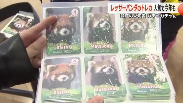 ファイリングされたカード