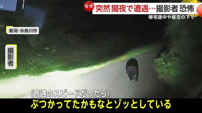 衝突していた可能性もあったと話す撮影者(映像提供:星野佑佳さん)