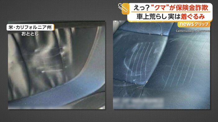 車内に残っていたひっかき傷