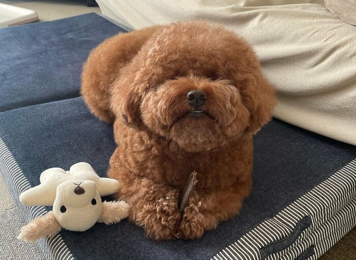 おいしくてイーッ!