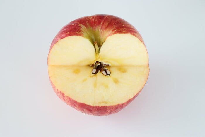 蜜入りの「蜜」の正体は？