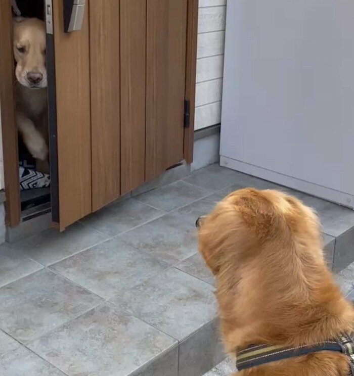 ドアが開くとセナくんはラックスくんのところへ!