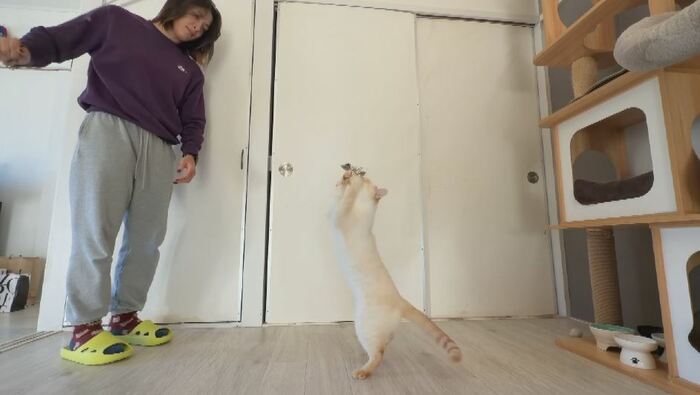 「ムスビ」と遊ぶクリスタ選手