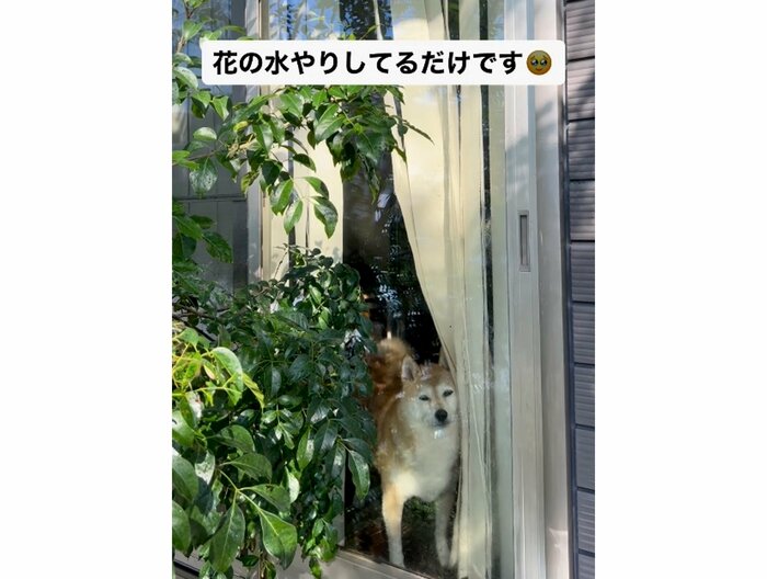提供:橋本真実さん
