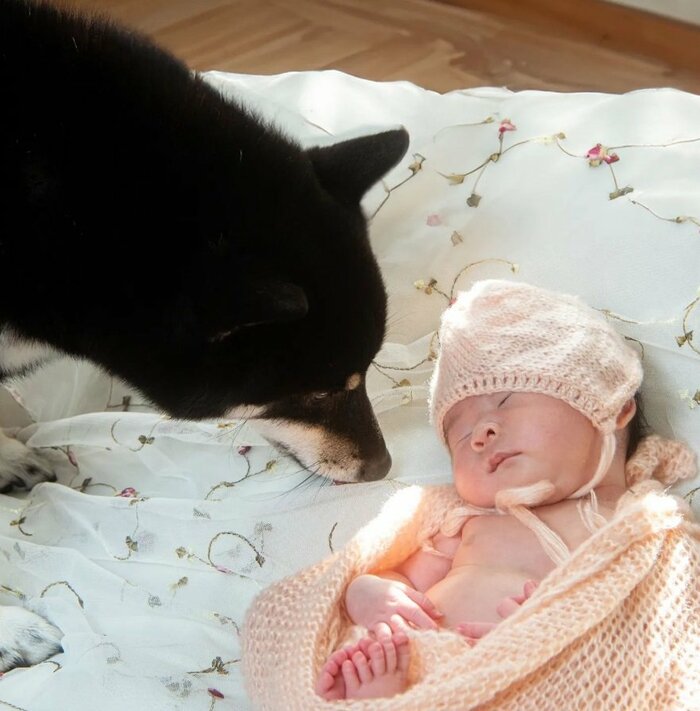 さっちゃんが気になる様子の天すけくん