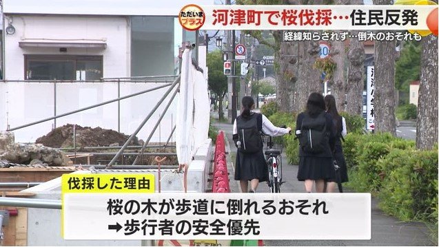 学校跡地と歩道