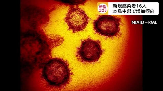 新型コロナウイルス新規感染16人 本島中部で増加傾向