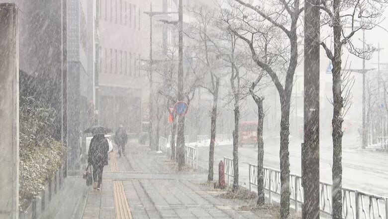 大雪の可能性　長野県北部を中心に30日明け方にかけて　中野飯山地域40センチ、大北地域山沿い30センチ　24時間予想降雪量（30日午後6時まで・多い所で）　交通障害や路面の凍結に注意｜FNNプライムオンライン