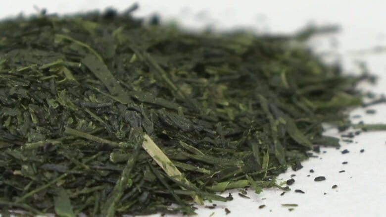 お茶の生産量で鹿児島県が初の全国1位に…65年間首位だった静岡県が首位陥落　生産面積の減少率に差、ペットボトル用茶葉で需要安定｜FNNプライムオンライン