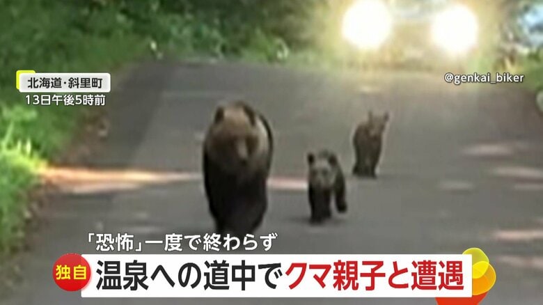 【独自】「ただただ恐怖」1日3度もクマと遭遇　温泉への道中にクマの親子　入浴中も目の前に…帰路でも出没　北海道・斜里町｜FNNプライムオンライン