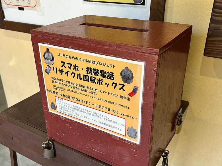 不用スマホでゴリラの保全に！NPOが国内4動物園に回収箱を設置…ゴリラ生息地「コンゴ民主共和国」の実情を聞いた｜FNNプライムオンライン