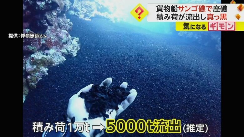【石垣島サンゴが真っ黒に】貨物船からウッドチップ“5000t”流出　5カ月以上放置も…ようやく船の解体開始へ　沖縄｜FNNプライムオンライン