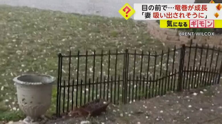 庭に降りそそぐ、大きなひょう
