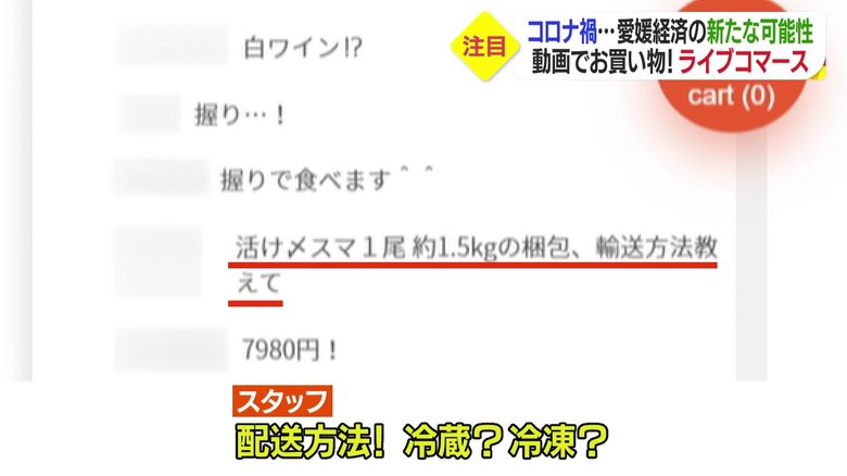 動画を見ながら質問も