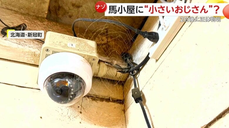 馬小屋にあったのは「クモの巣」（提供：新冠橋本牧場）