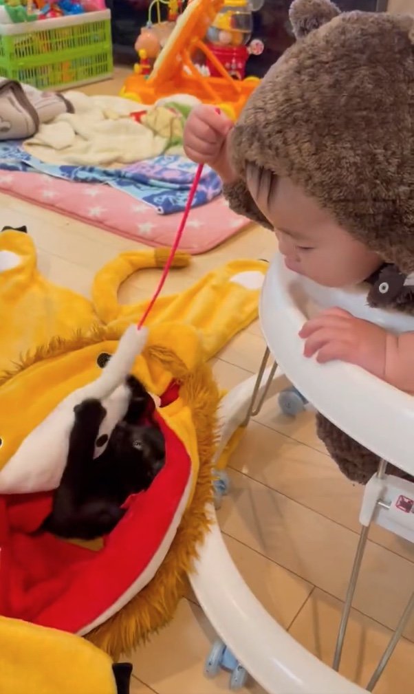 提供：ゴンゾウR4さん