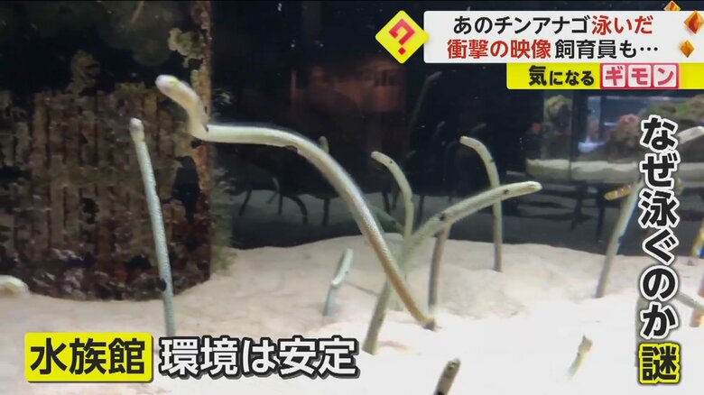 （京都水族館）