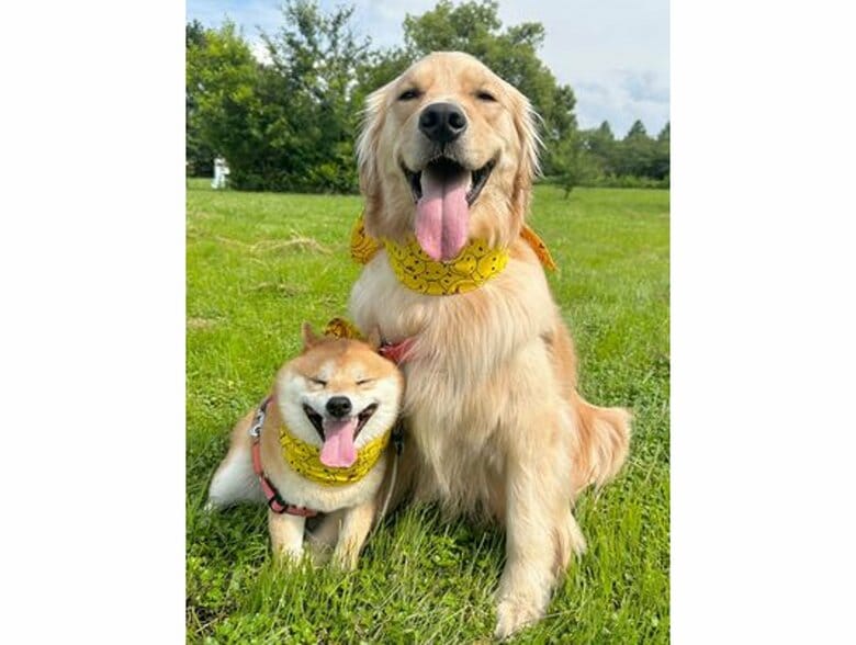 提供：うにandおからさん