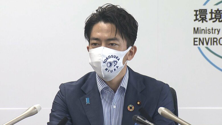 閣議後の会見に応じる小泉環境相