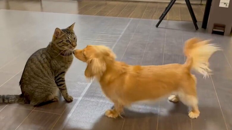 口元やほっぺに何度も“キス”するも…