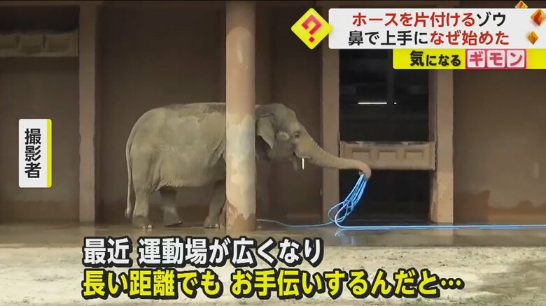 （撮影：らすかるさん）