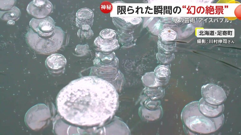まるでガラス細工のような氷の芸術