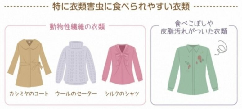 特に衣類害虫に食べられやすい衣類（提供：エステー株式会社）