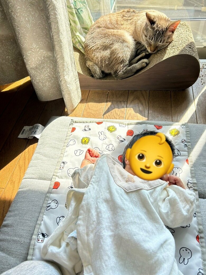 一緒にひなたぼっこ