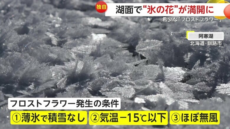 発生に関わるのは3つの条件（FNN投稿サイト「ビデオPost」撮影：川村伸司さん）