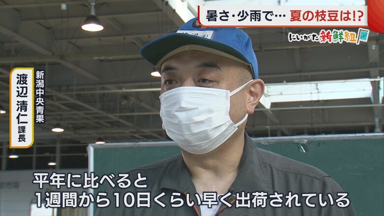 新潟中央青果　渡辺清仁 課長