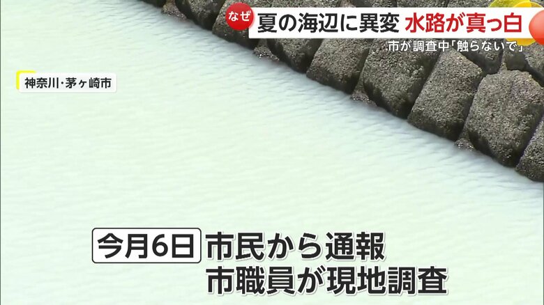 海へと続く水路などで真っ白に濁る水