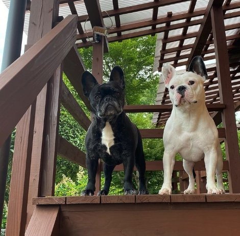 提供：天使の笑顔さん