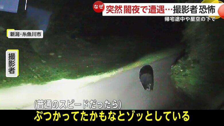 衝突していた可能性もあったと話す撮影者（映像提供：星野佑佳さん）