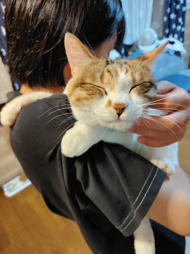 提供：nyaokoさん