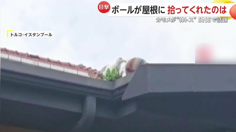 声援を送りながら行方を見守る生徒たち
