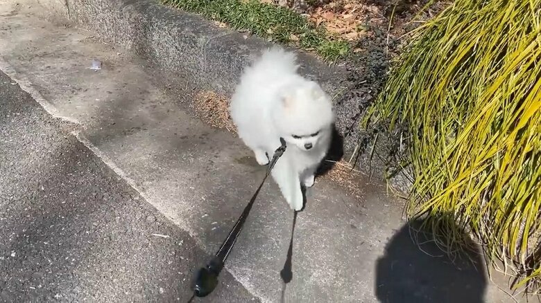 ゆっくりと近づいてくる