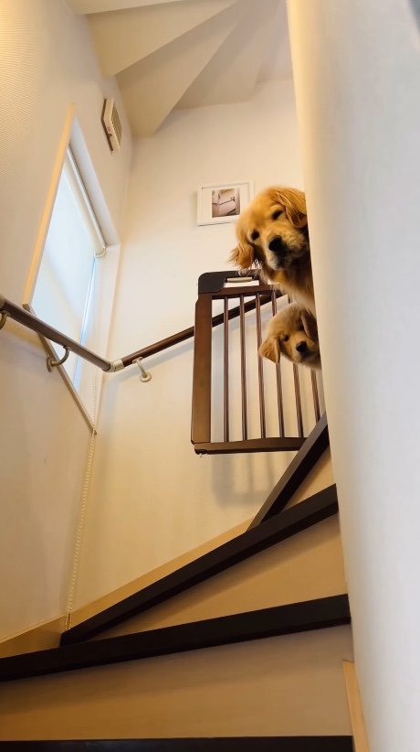 提供：efrinmanさん