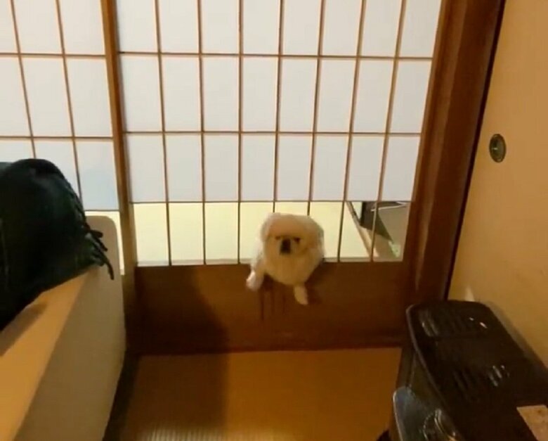 体を起こして