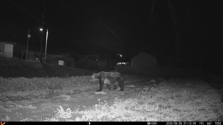 駆除現場から約2km離れた畑