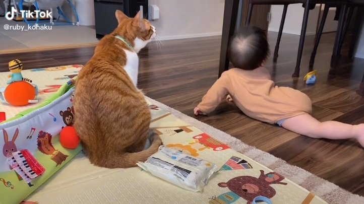 おもちゃがテーブルの上に…