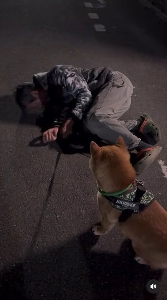 提供：カンさん