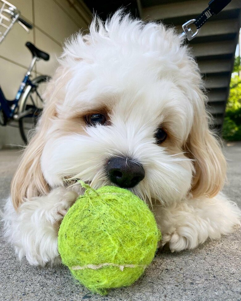 提供：宮原幸恵さん