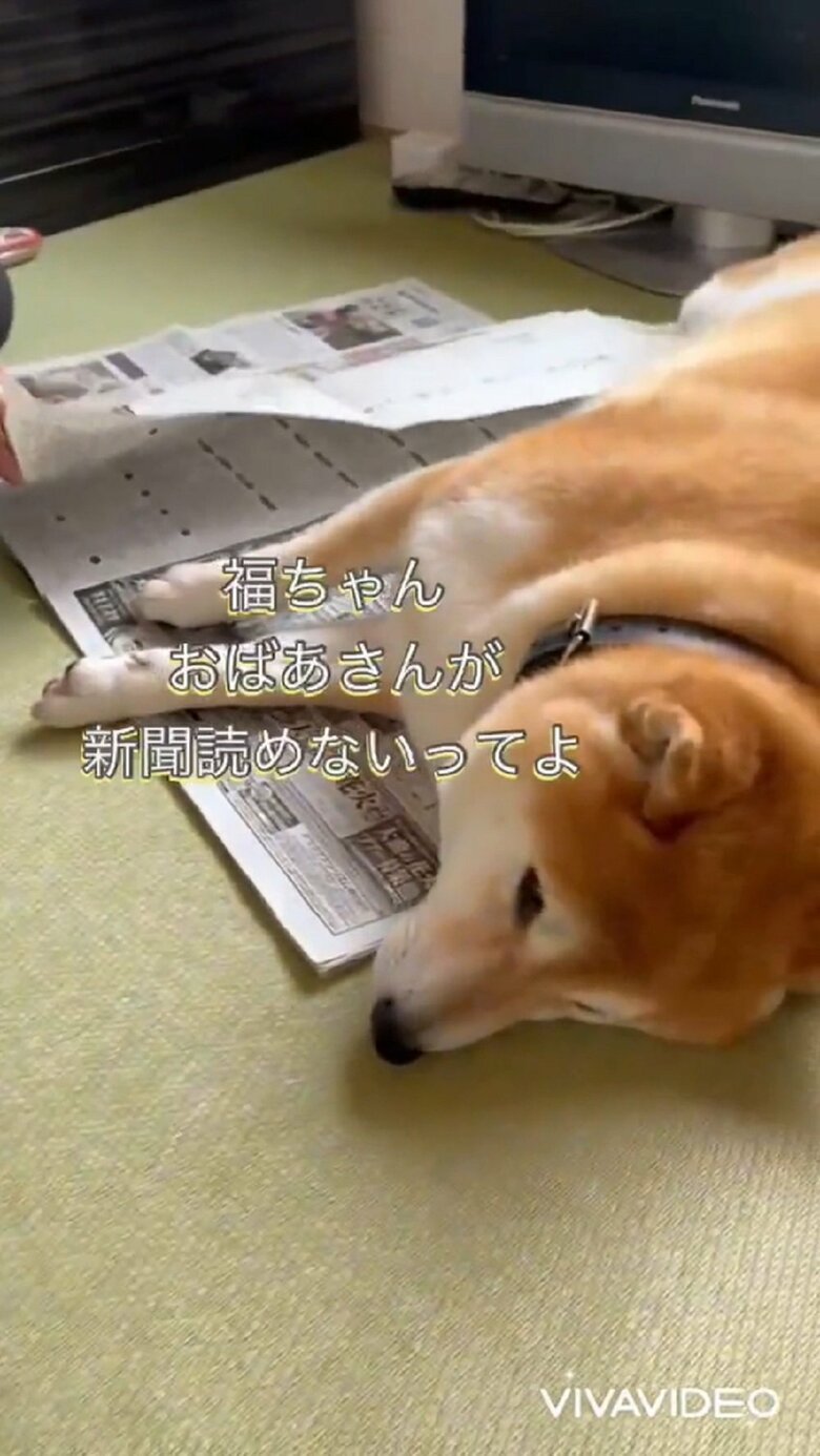 兄「福ちゃん、おばあさんが新聞読めないってよ」と話しかける