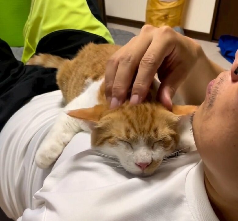 おなかの上でまったり