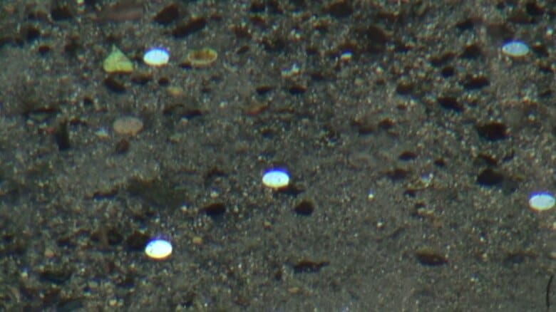 澄み渡る水の底にはいくつもの硬貨が