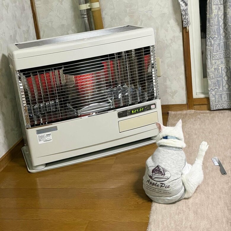 提供：しんばぷーさん