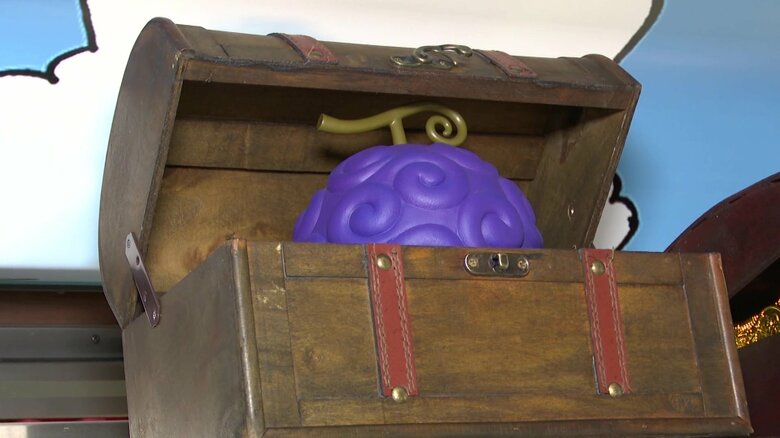 車内の至る所に悪魔の実