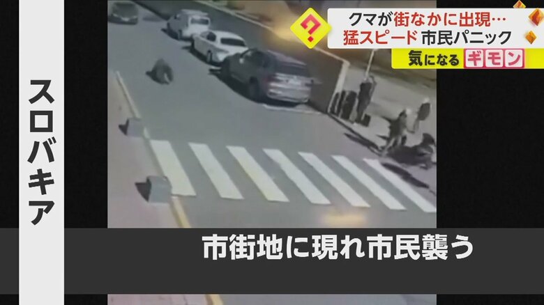 ものすごいスピードで道路を駆け抜ける黒い影