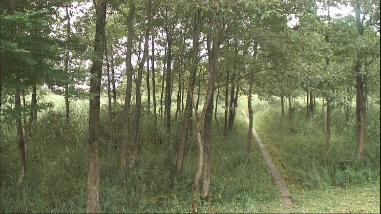 悠仁さまも訪れた池ヶ原湿原