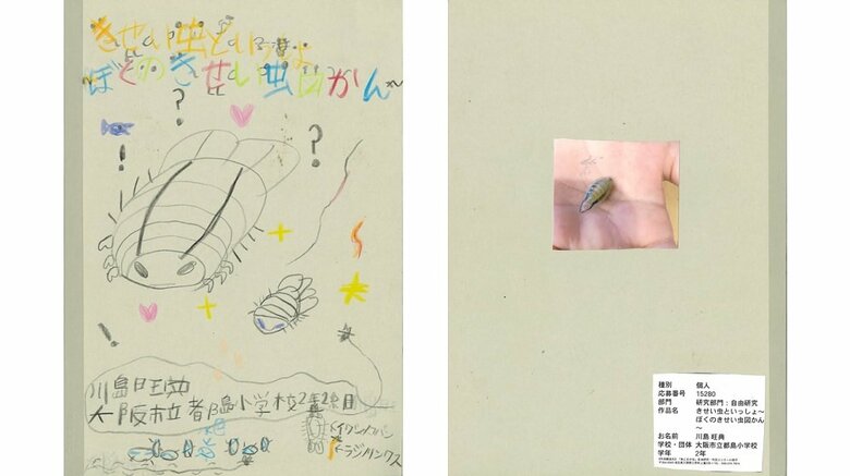 「きせい虫といっしょ～ぼくのきせい虫図かん～」（左：表紙　右：裏表紙）